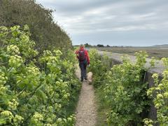 On the north side of the island, heading back to the bridge
